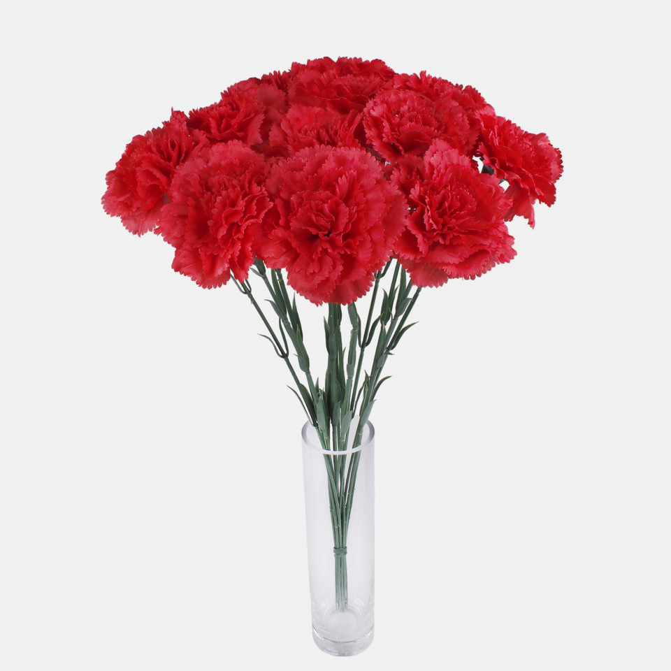 Goździk, Pure Red G392-06