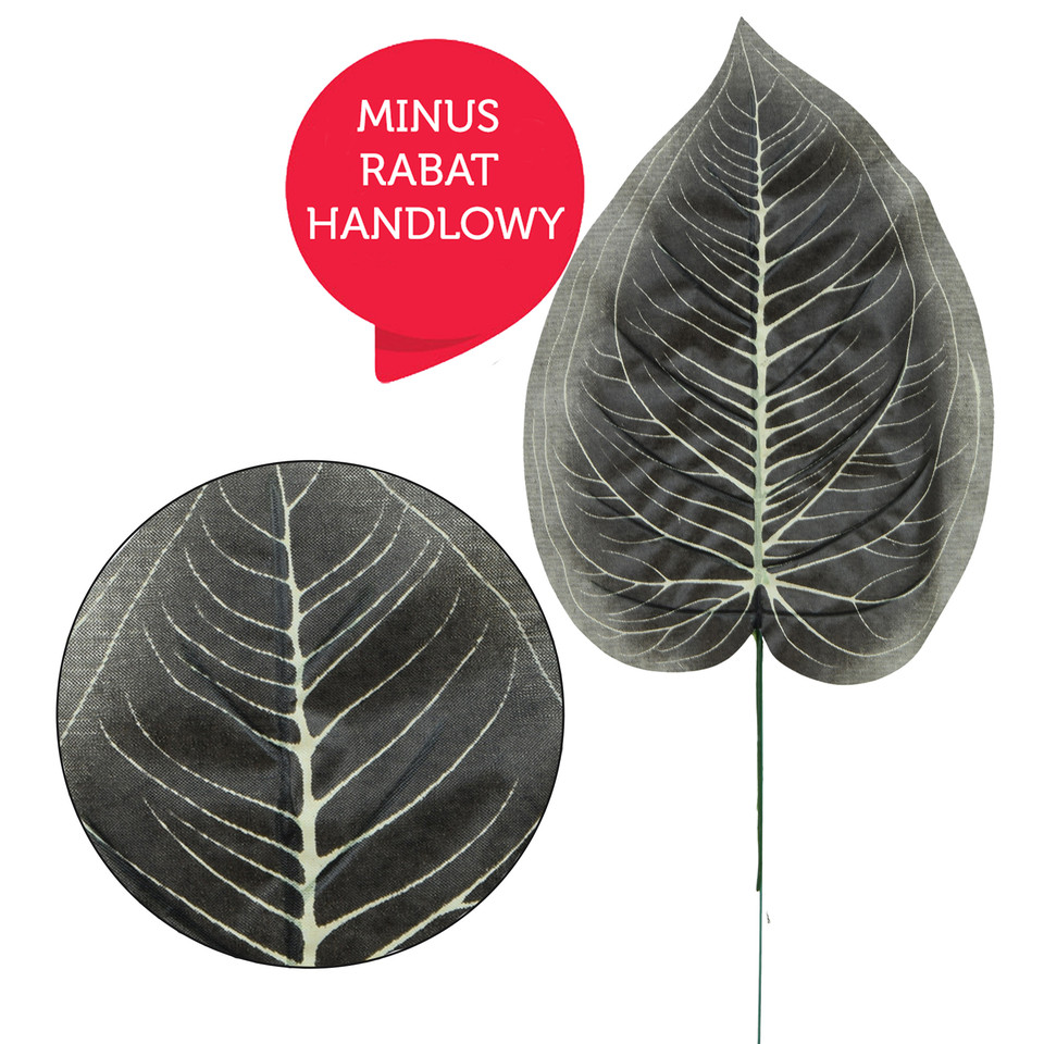 Hosta - liść 47 cm L495-00