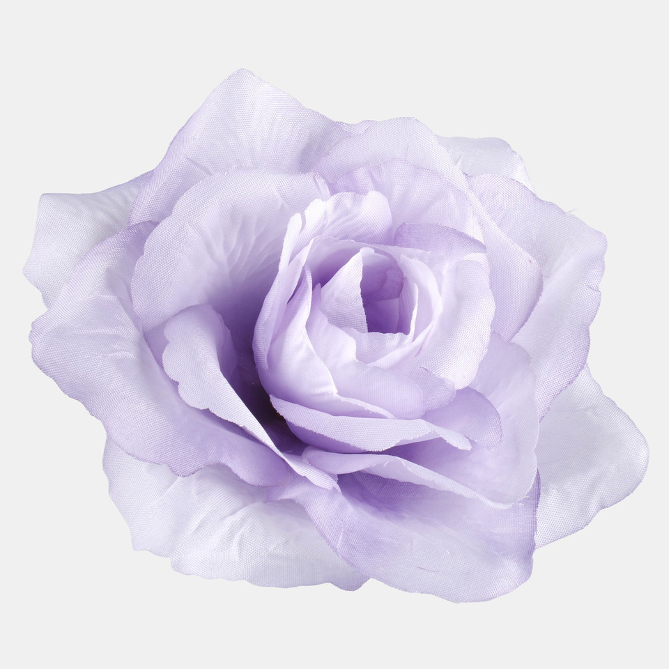 Róża francuska, T.T. Lilac W087-01