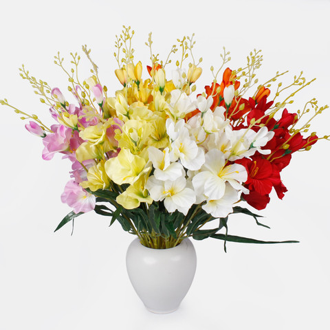 Gladiolus x 5 QA053