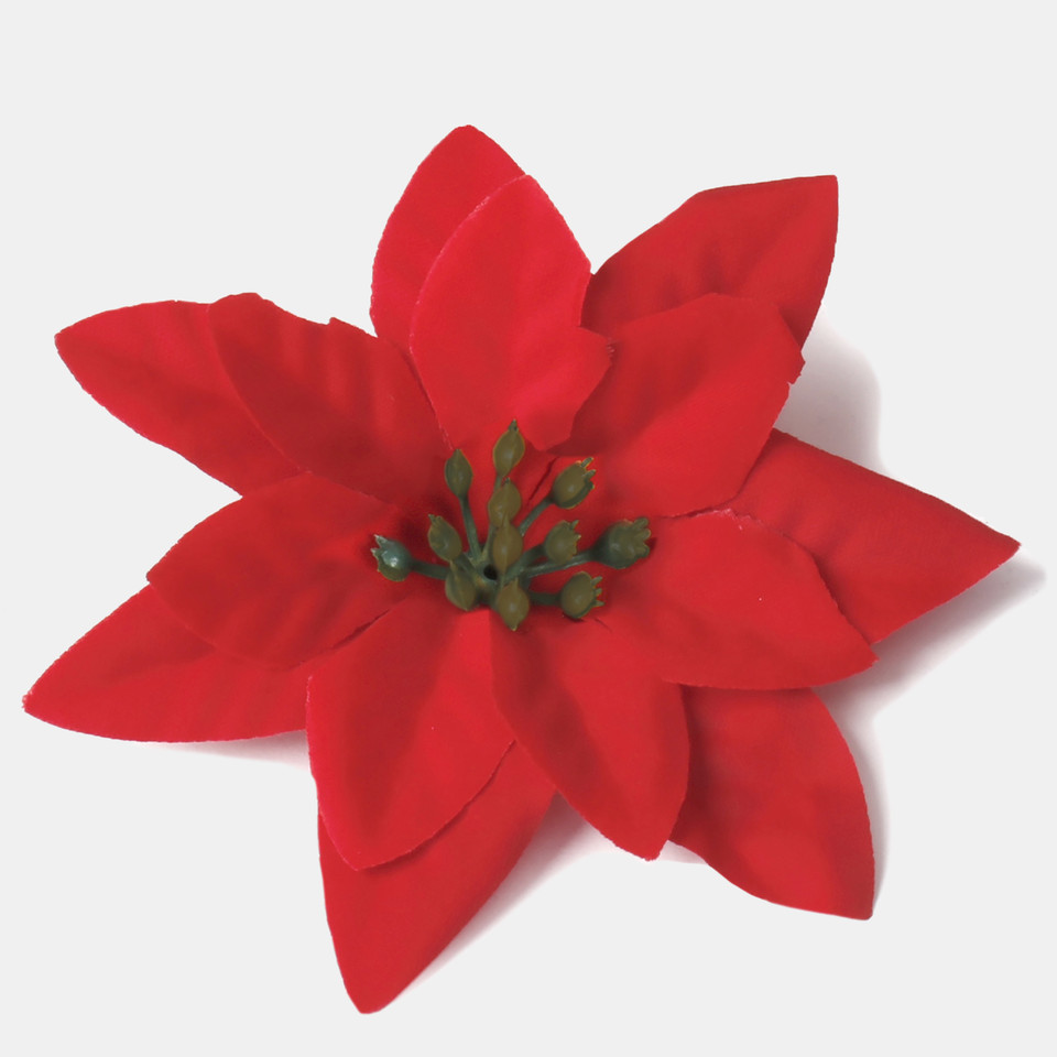 Poinsecja, Pure Red W719S-01