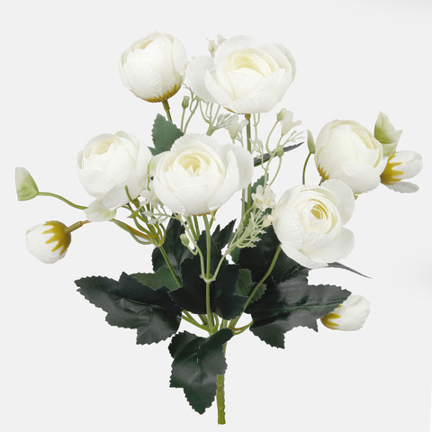 Camellia, Mix 1 QA126-01