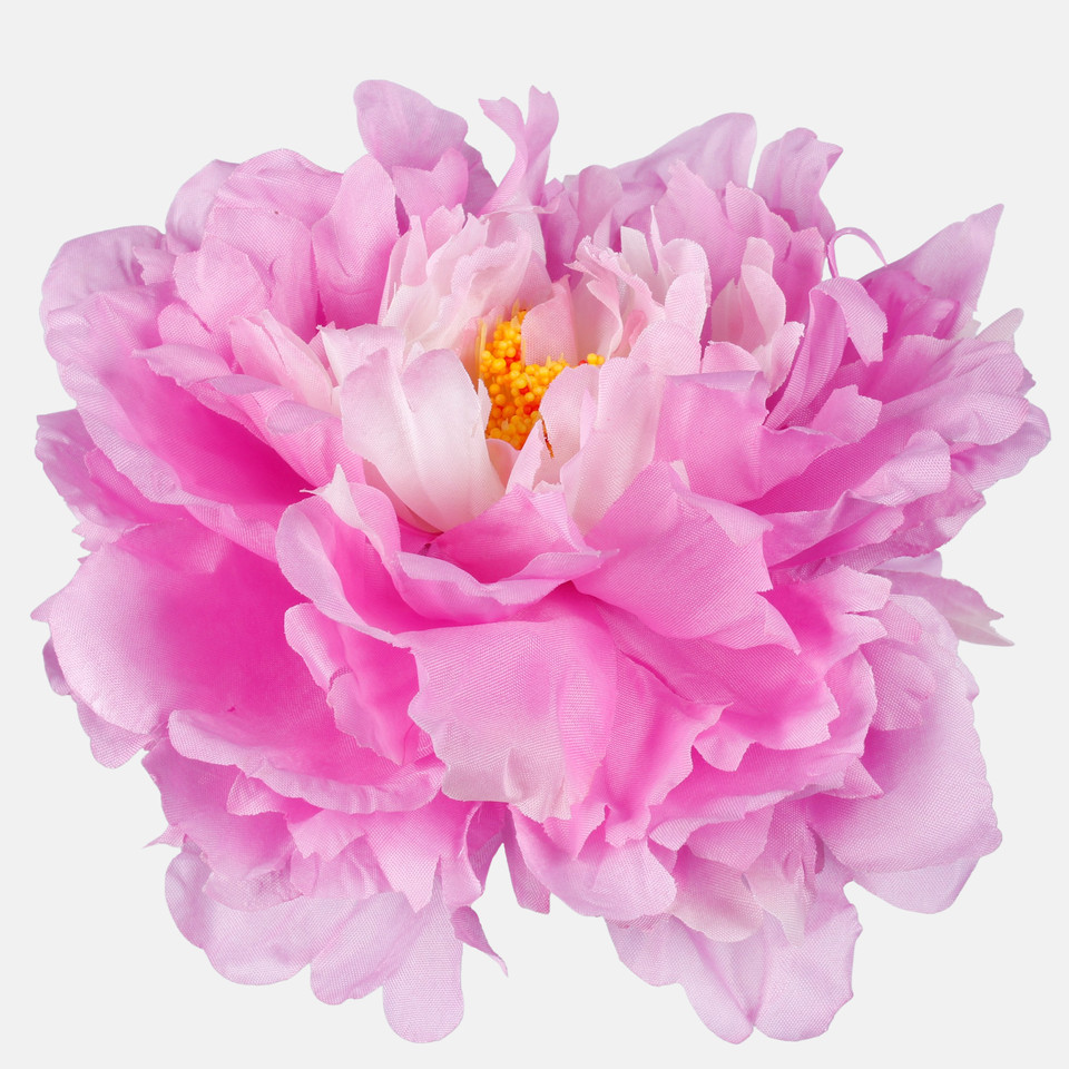 Peony, Lt. Lilac/Lt. Green Edge W615-06
