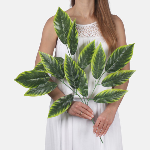 Mango F196 (Product size)
