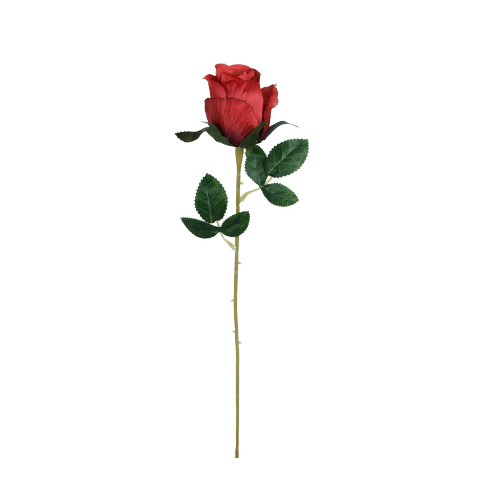 Róża - gałązka - 53 cm, m2 K404-m2