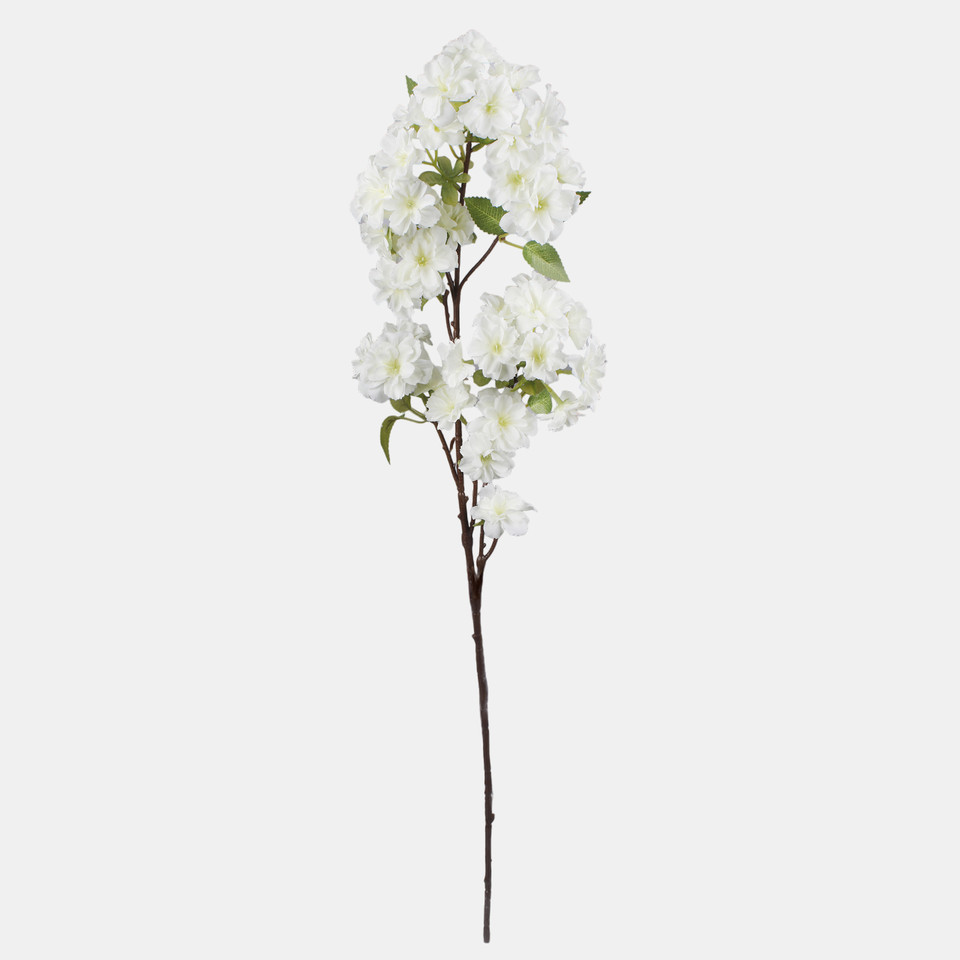 Azalia, Cream L899-02