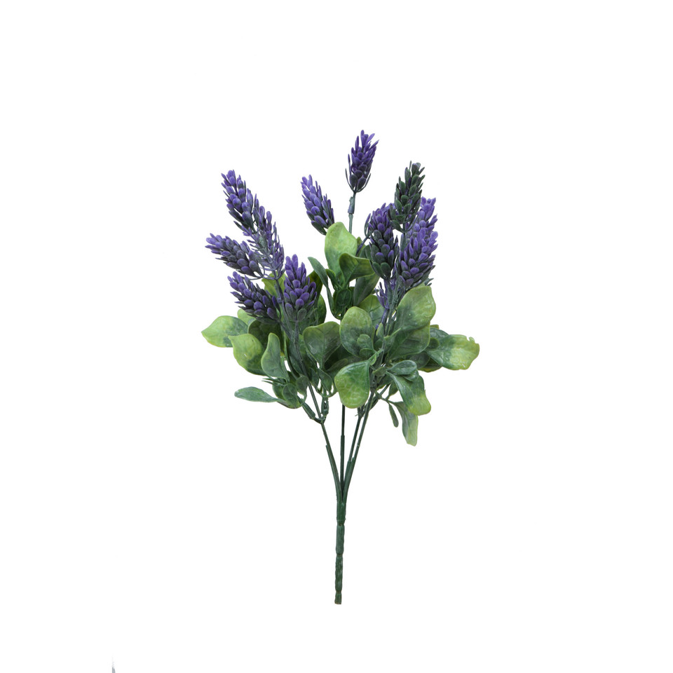 Chmiel - bukiet 30 cm, m R575-m
