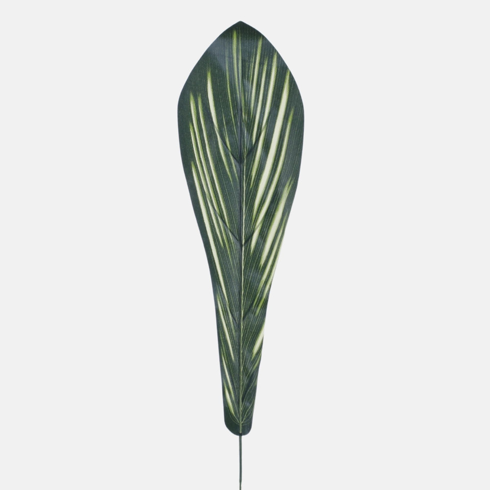 Asplenium leaf, Dk. Green H002B-01