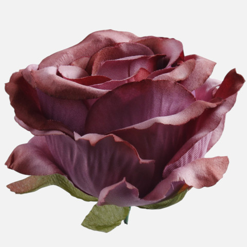 Rose, Autumn T.T. Burgundy W697-09
