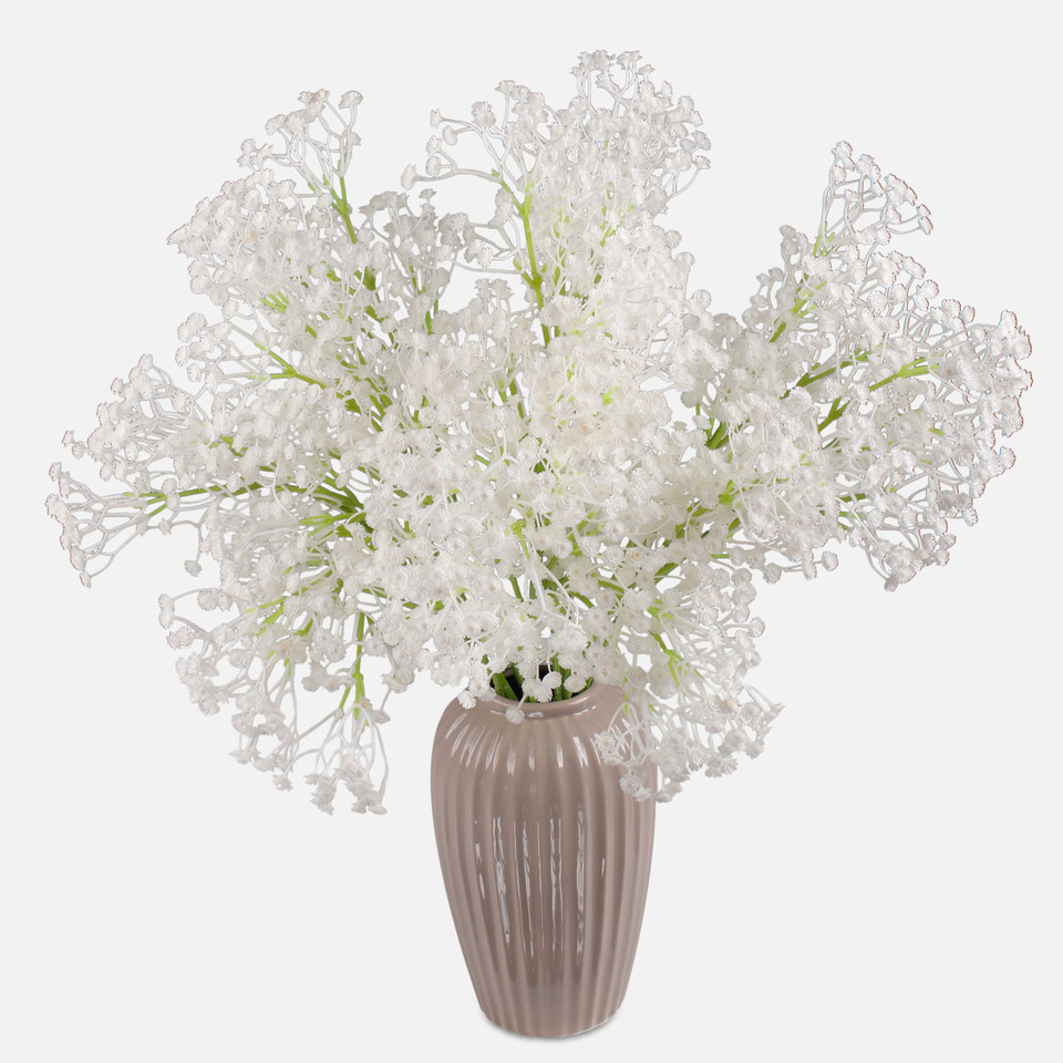Gypsophila, White G193