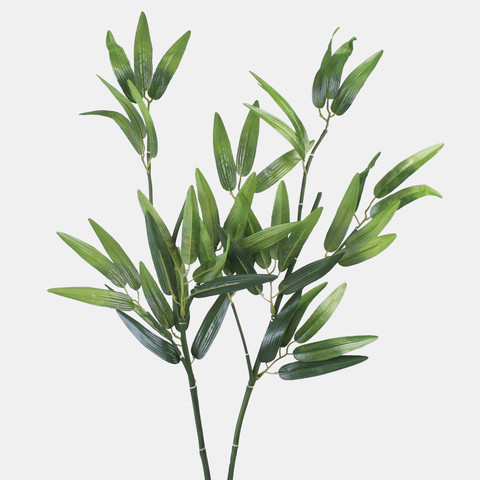 Bamboo A661