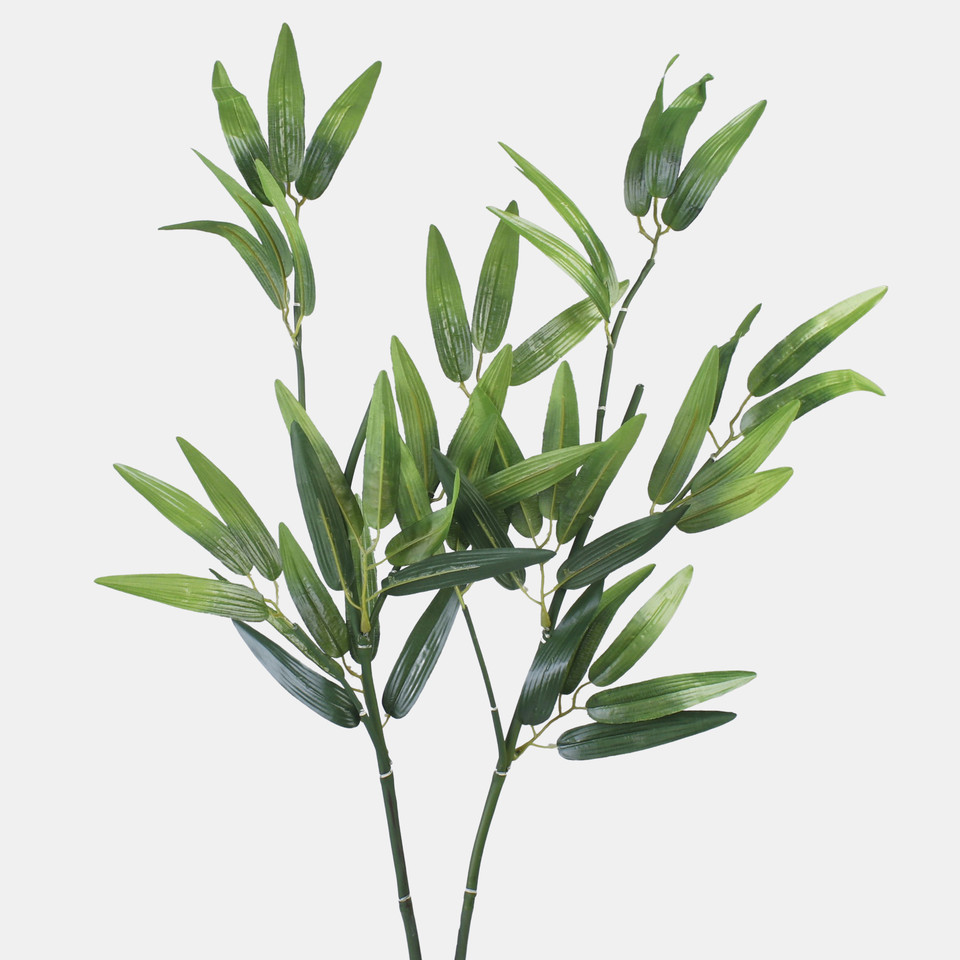 Bamboo, Green A661