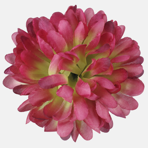 Chrysanthemum, Burgundy/Green W002-08