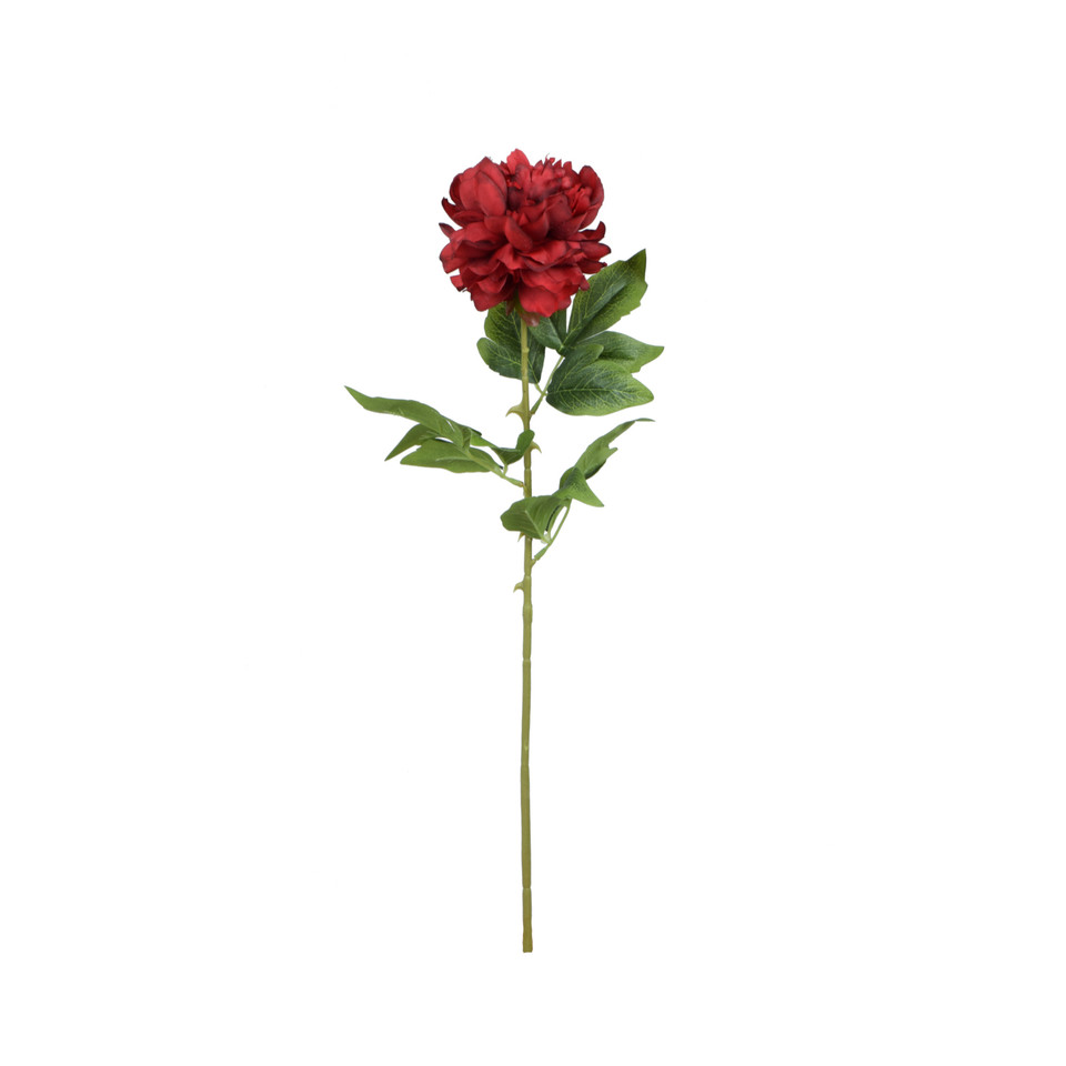 Peonia - gałązka 68 cm, m K415-m