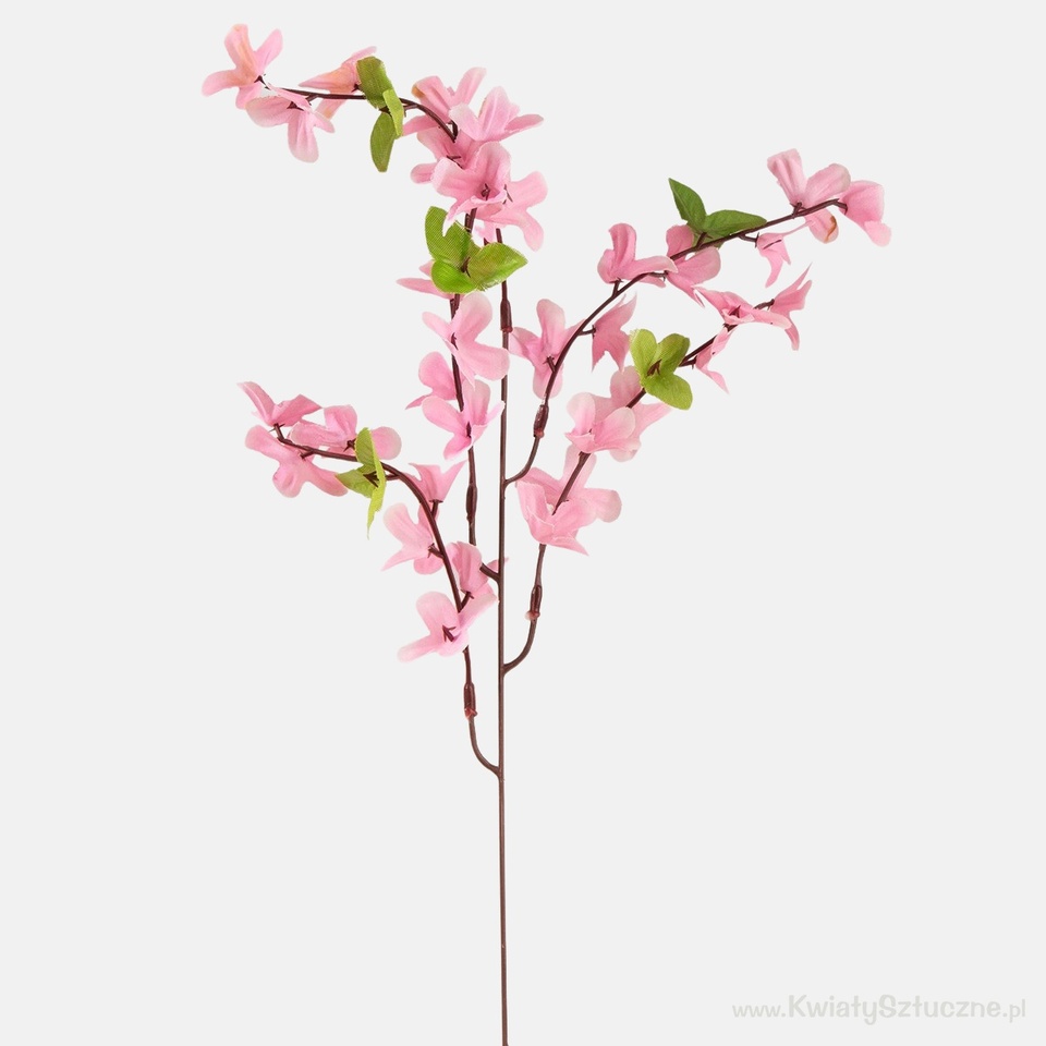 Forsythia, Lt.  Pink G002A-03
