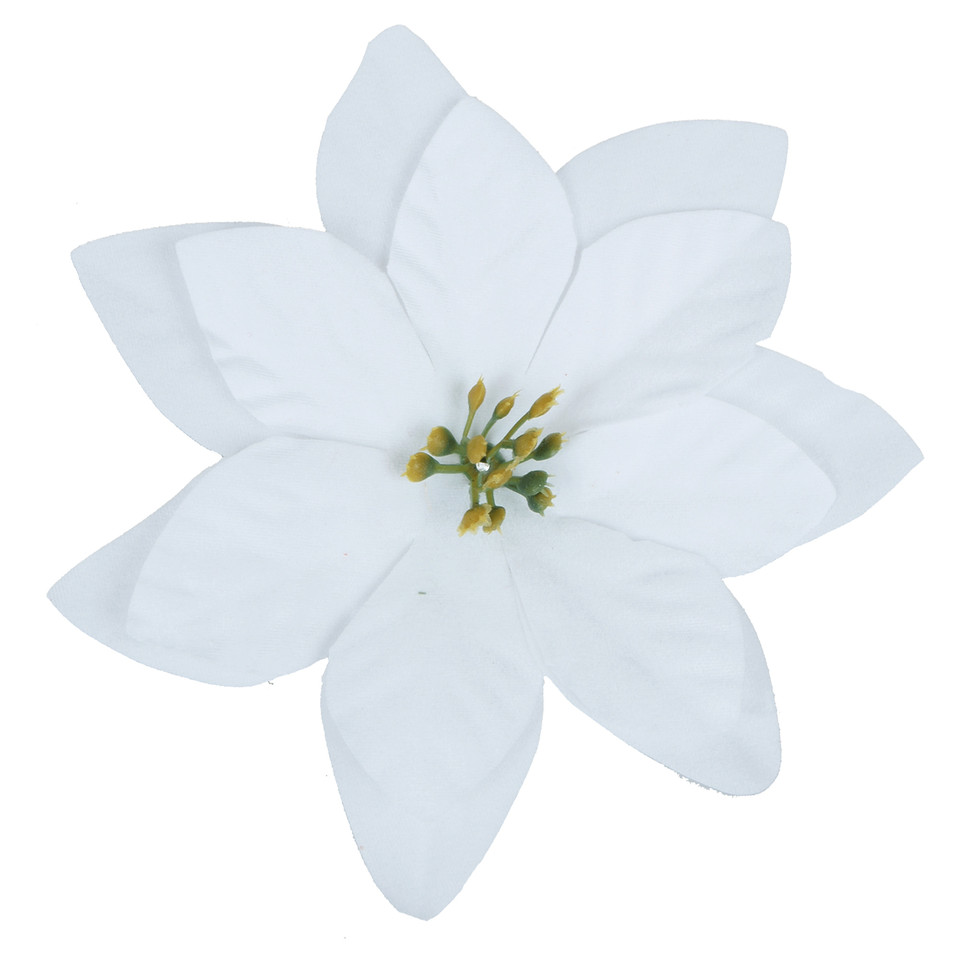 Poinsecja x 6 szt., White W433X-02