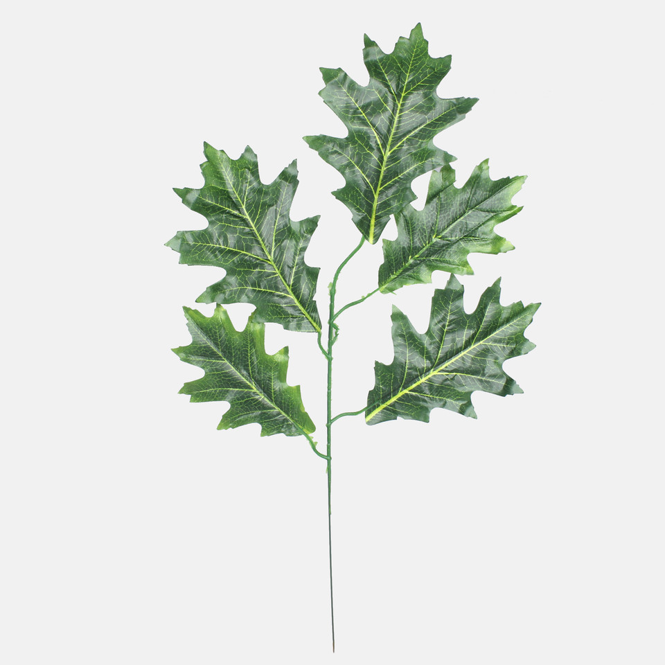 Oak, Green F163-01