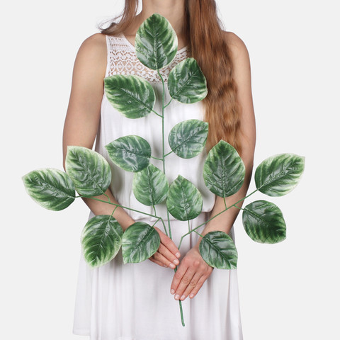 Linden F235 (Product size)