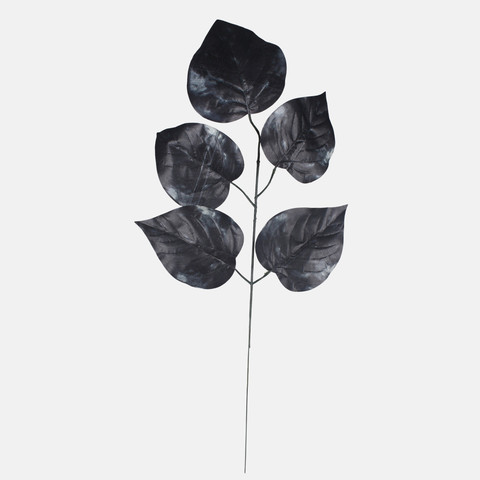Linden, Black F162-02