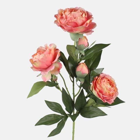 Peonia, Peach/Lt. Green L871-05