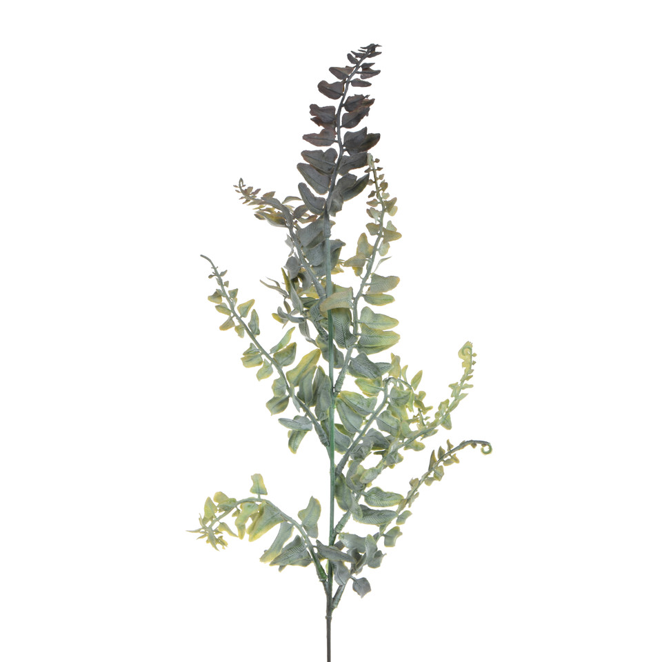 Paproć - gałązka 61 cm, m R235-m