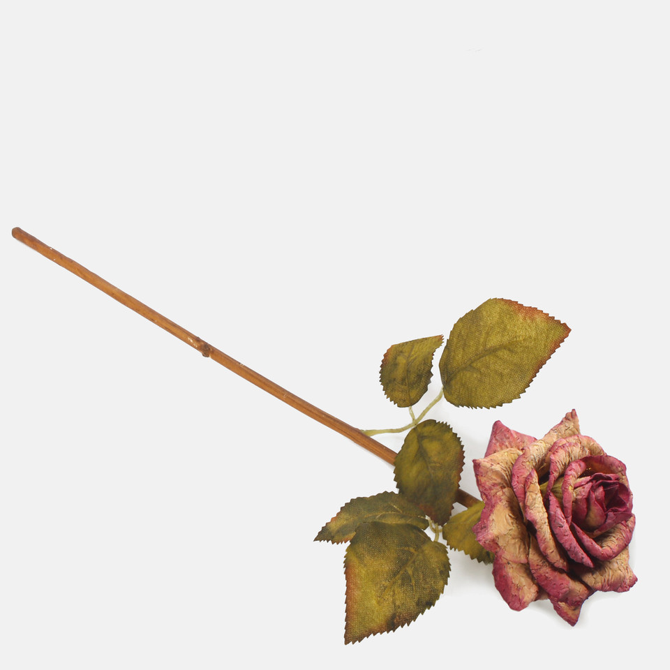 Cork Rose, Orange / Pink G414L-03