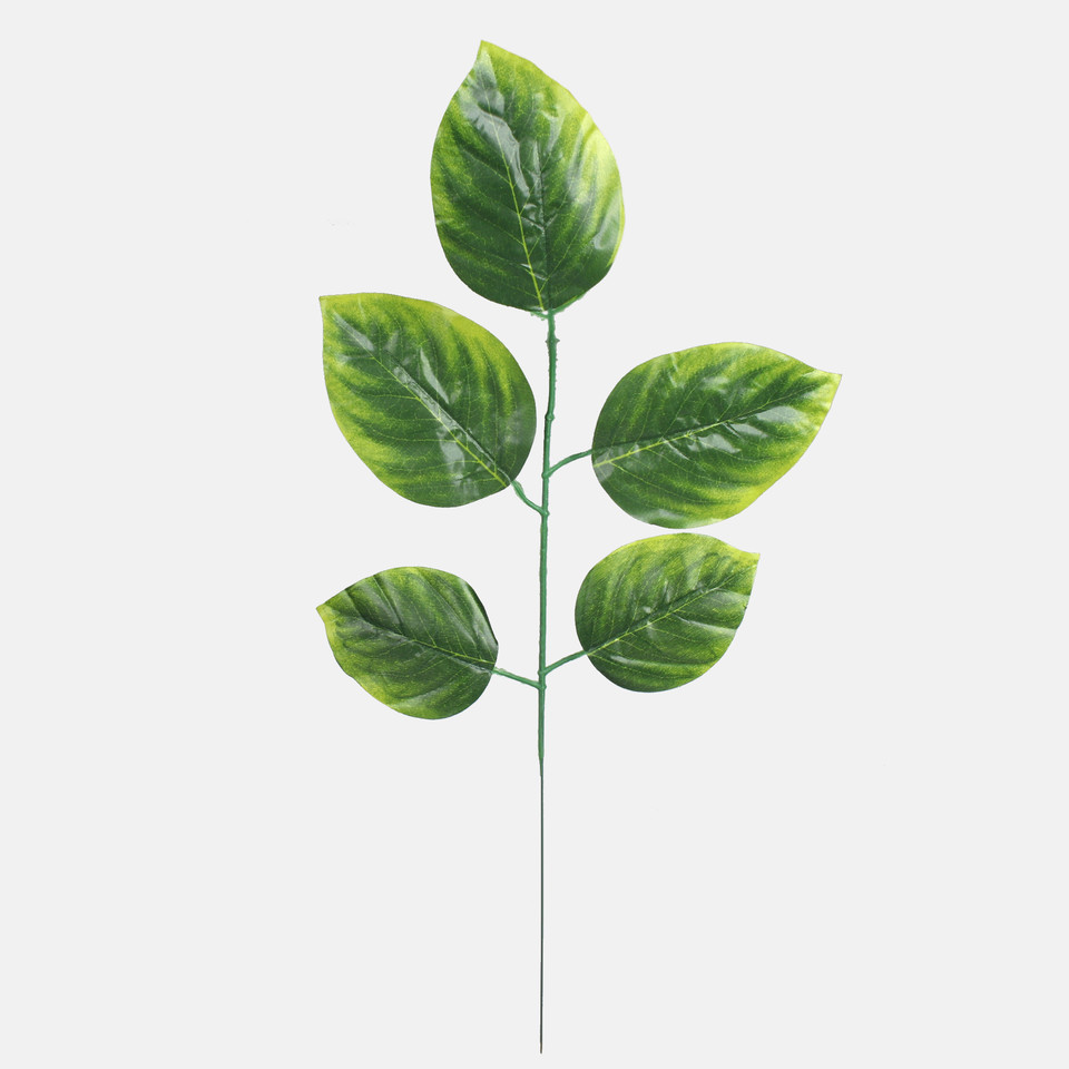 Linden, Green/Lt. Green Edge F213-01