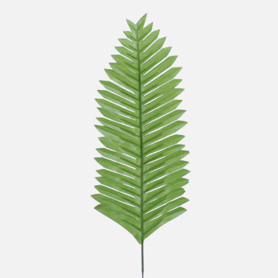 Fern leaf, Green H023A-01
