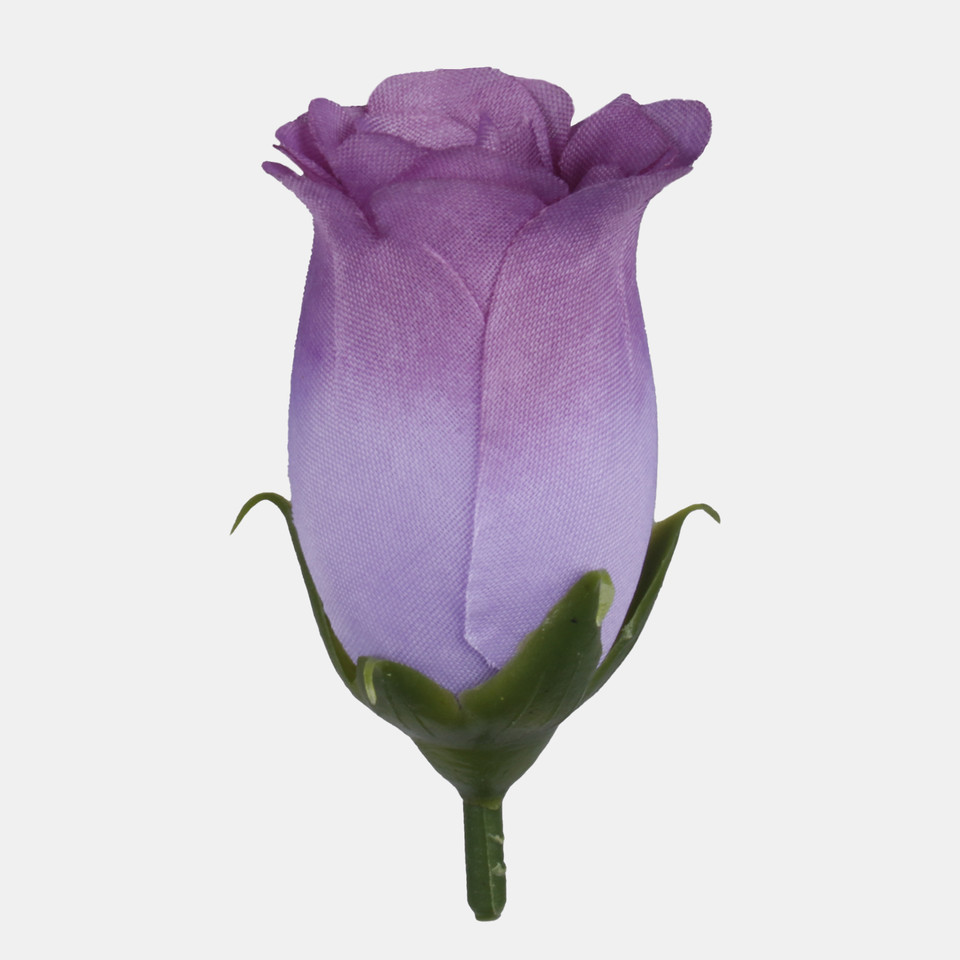 Róża w pąku, Dk. Lilac W645-11