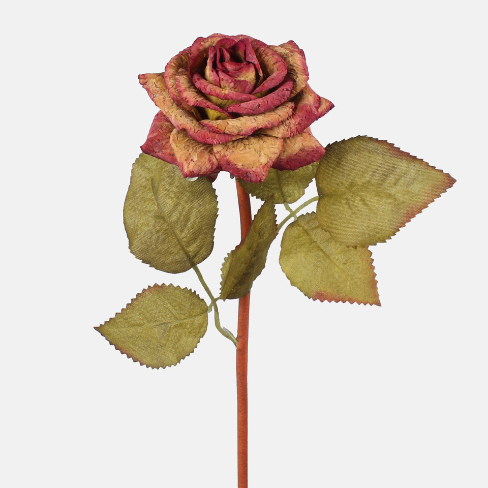 Cork Rose, Orange / Pink G414L-03