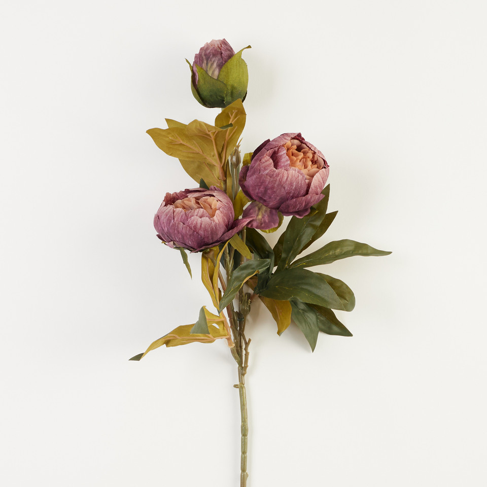 Peonia – gałązka x3, 22 B38-22
