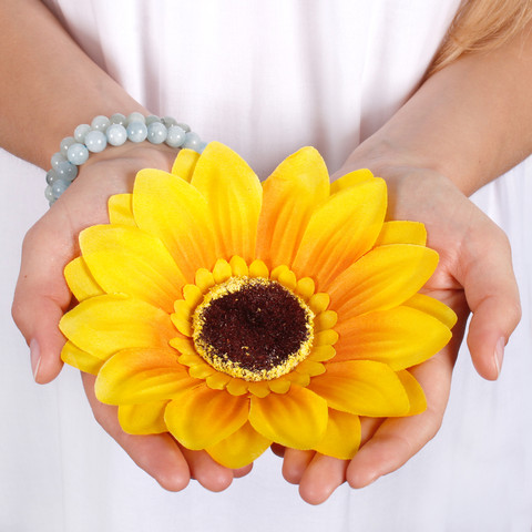 Sunflower W666 (Product size)