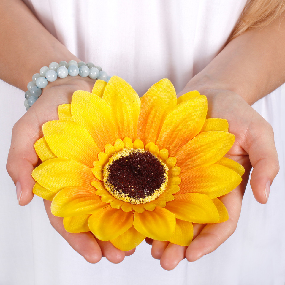 Sunflower W666