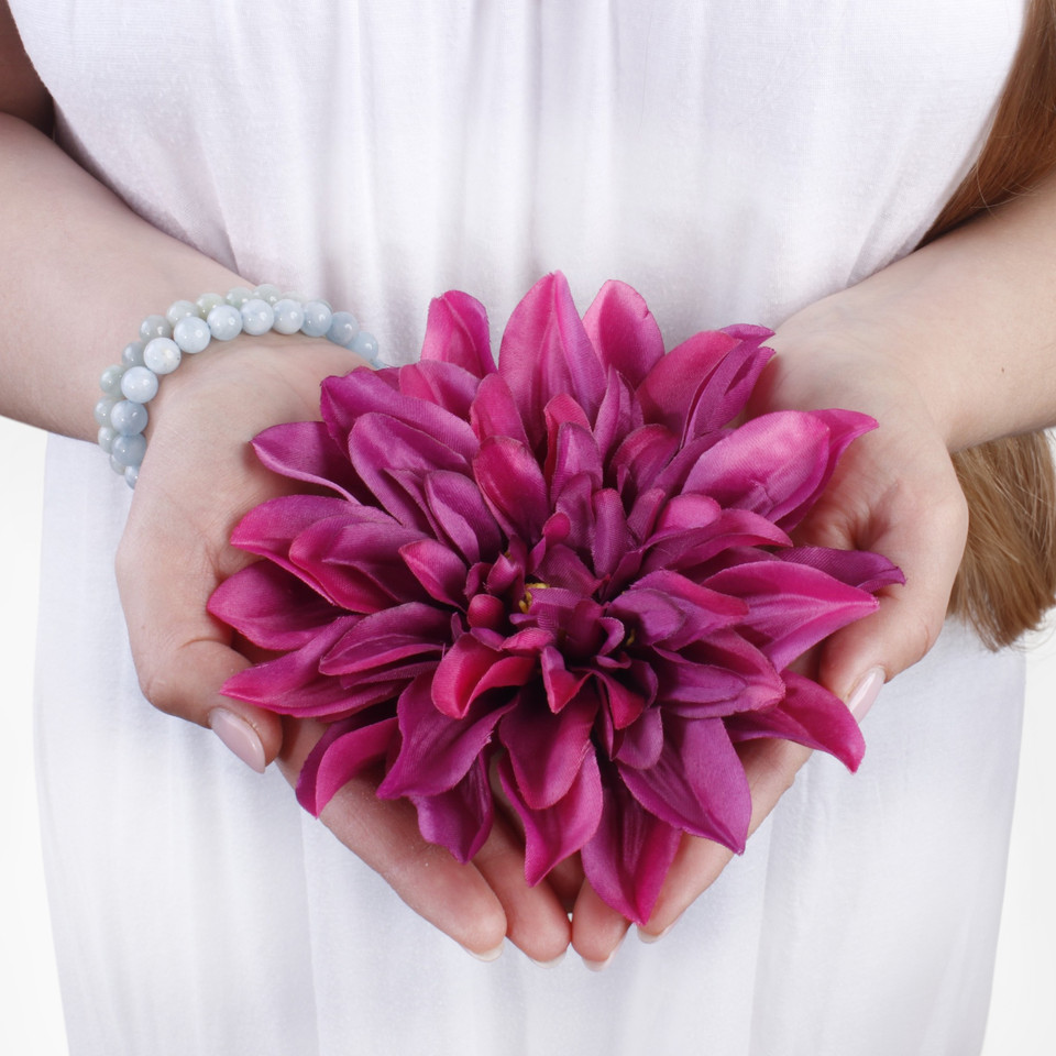 Dahlia W008