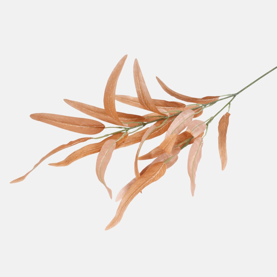 Wierzba, Orange F250-03