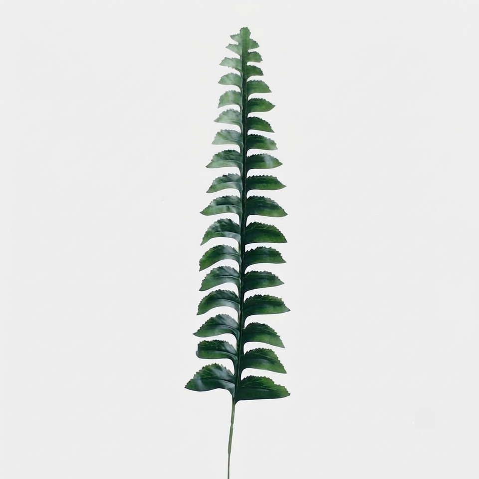 Liść paproci, Dk. Green H022A-01