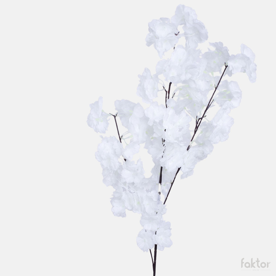 Cherry, White BGK409-06