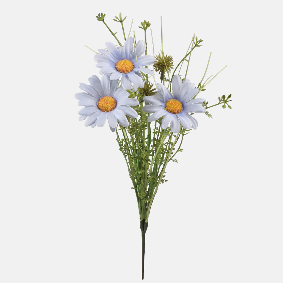 Daisy, Mix 1 A758-01