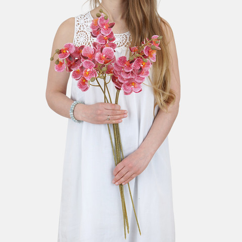Orchid L638L (Product size)
