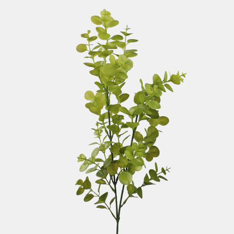 Eukaliptus, Lt. Green F249-01