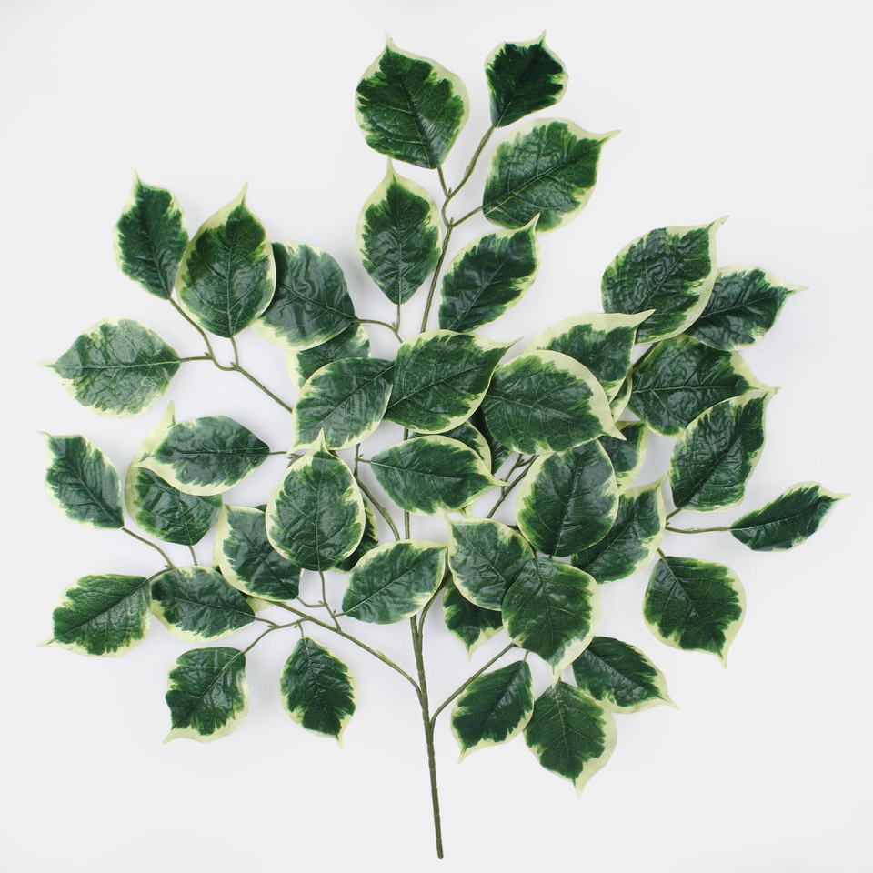 Lipa (5 x 9), Green w/Lt. Edge F019-02