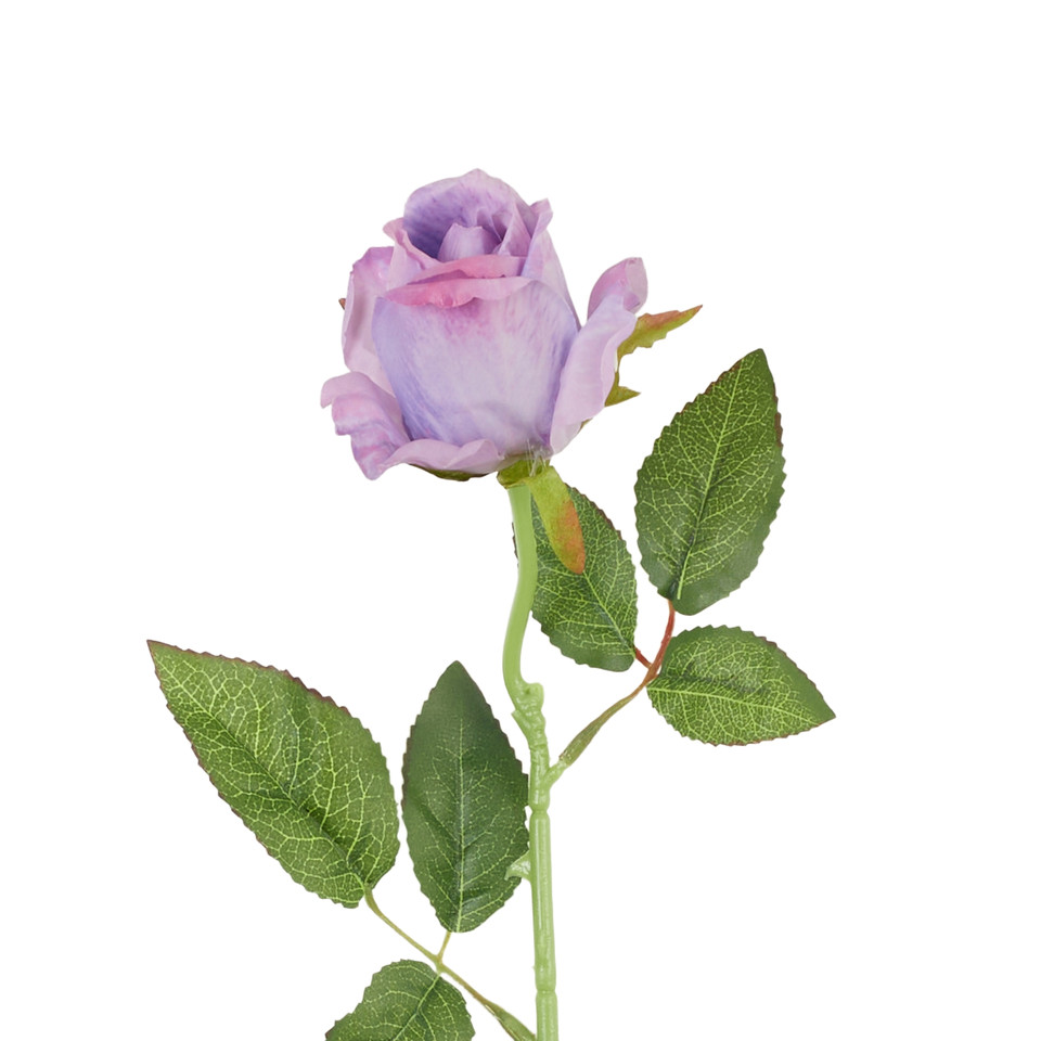 Róża - gałązka, #08 lt violet B78-08