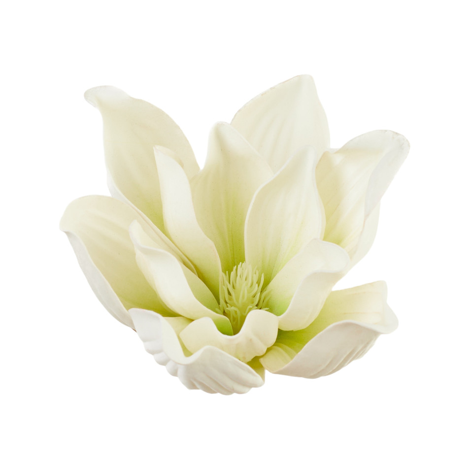 Magnolia, 01 white B109-01