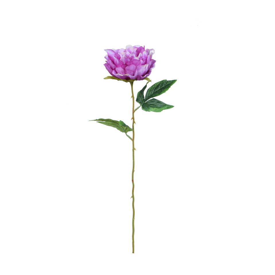 Peonia - gałązka 57 cm, m K417-m