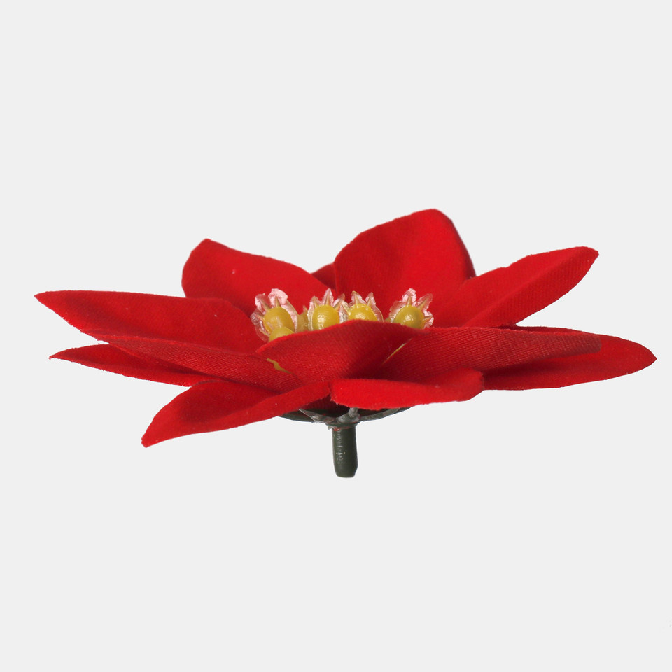 Poinsecja, Red W724S-01