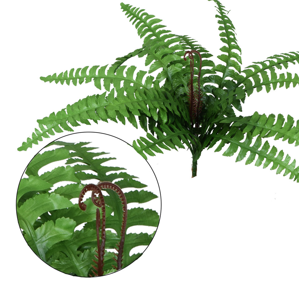 Paproć - bukiet 50 cm, green R586-00