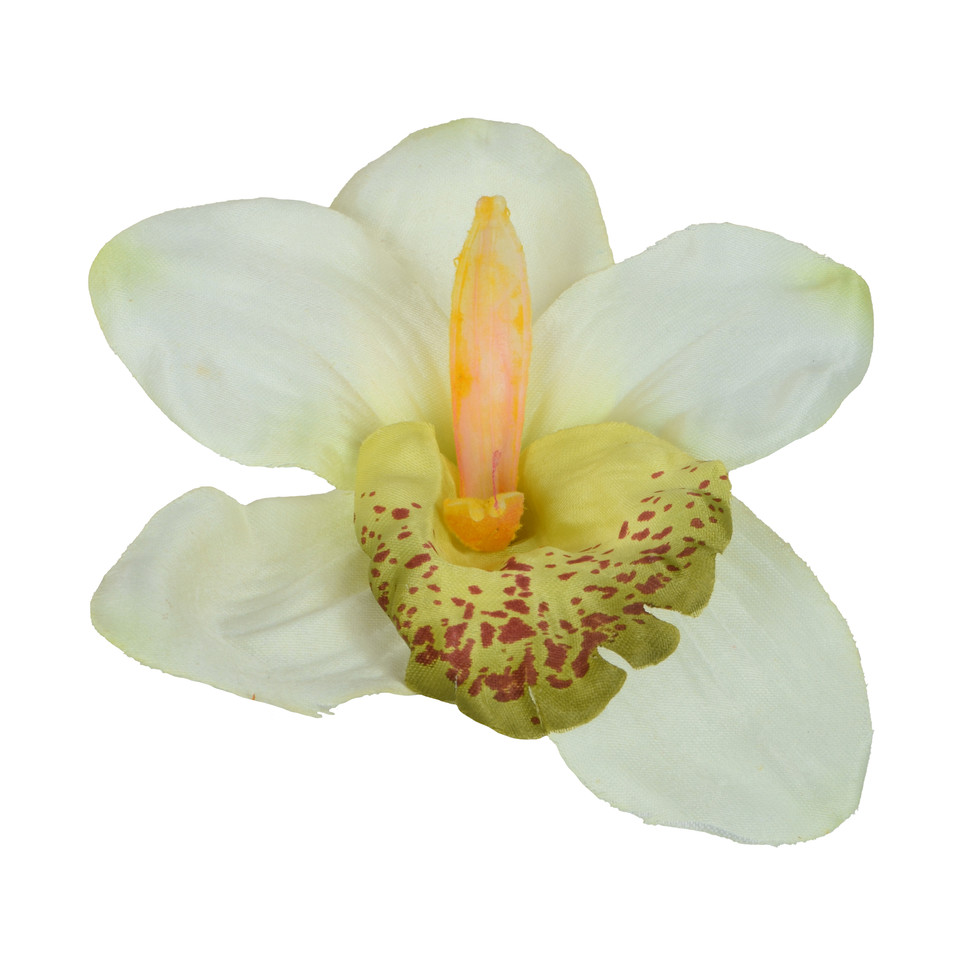 Storczyk - główka 12 cm, cream/green centre W015-2