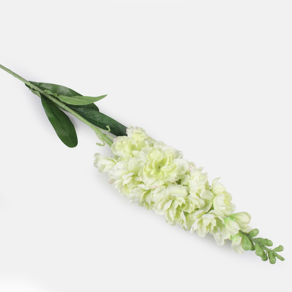 Delphinium, Lt. Green L019-06