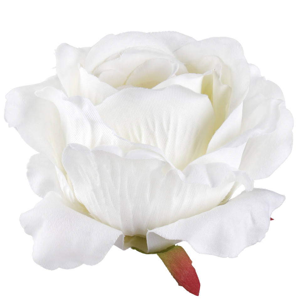 Rose, Cream W697-14