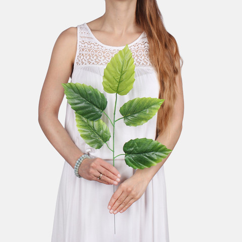 Alder F212 (Product size)
